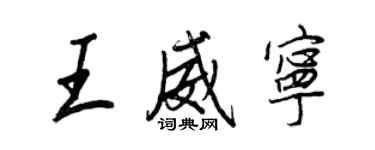 王正良王威寧行書個性簽名怎么寫