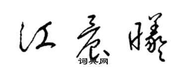 梁錦英江晨曦草書個性簽名怎么寫