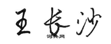 駱恆光王長沙行書個性簽名怎么寫