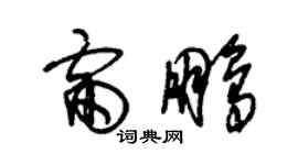 朱錫榮雷鵬草書個性簽名怎么寫