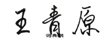 駱恆光王青原行書個性簽名怎么寫