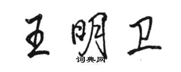 駱恆光王明衛行書個性簽名怎么寫