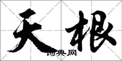 胡問遂天根行書怎么寫