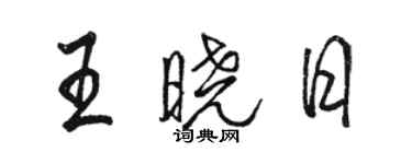 駱恆光王曉日行書個性簽名怎么寫