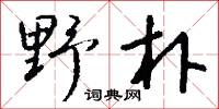 野觴的意思_野觴的解釋_國語詞典