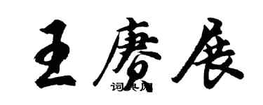 胡問遂王賡展行書個性簽名怎么寫