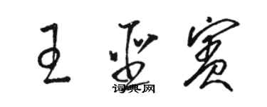 駱恆光王聖賓草書個性簽名怎么寫