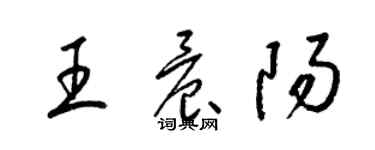 梁錦英王晨陽草書個性簽名怎么寫