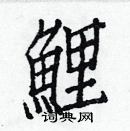 白克儉寫的硬筆楷書鯉