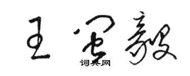 駱恆光王閩毅草書個性簽名怎么寫