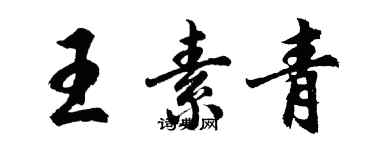 胡問遂王素青行書個性簽名怎么寫