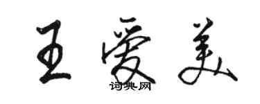 駱恆光王愛美行書個性簽名怎么寫