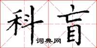 丁謙科盲楷書怎么寫