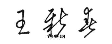 駱恆光王新春草書個性簽名怎么寫