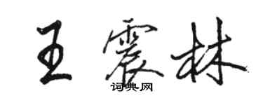 駱恆光王震林行書個性簽名怎么寫