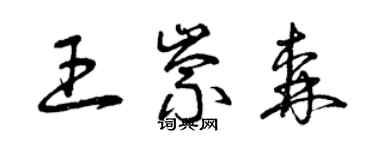 曾慶福王崇森草書個性簽名怎么寫