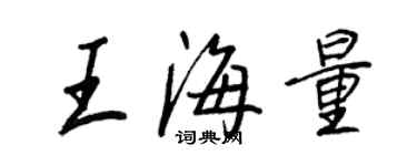 王正良王海量行書個性簽名怎么寫