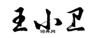 胡問遂王小衛行書個性簽名怎么寫