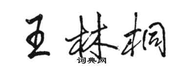 駱恆光王林桐行書個性簽名怎么寫
