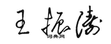 駱恆光王振濤草書個性簽名怎么寫