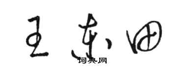 駱恆光王東田草書個性簽名怎么寫