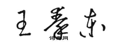 駱恆光王秦東草書個性簽名怎么寫