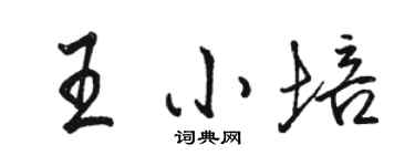 駱恆光王小培行書個性簽名怎么寫
