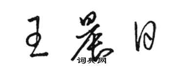 駱恆光王晨日草書個性簽名怎么寫
