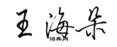 駱恆光王海朵行書個性簽名怎么寫