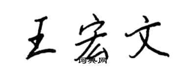 王正良王宏文行書個性簽名怎么寫