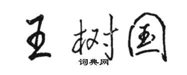 駱恆光王樹國行書個性簽名怎么寫