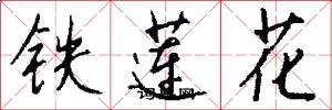 鐵蓮花怎么寫好看