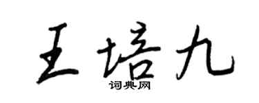 王正良王培九行書個性簽名怎么寫