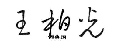 駱恆光王柏光草書個性簽名怎么寫