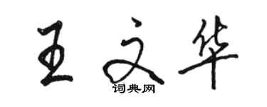 駱恆光王文華行書個性簽名怎么寫