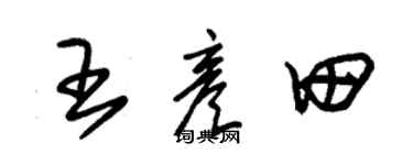 朱錫榮王彥田草書個性簽名怎么寫