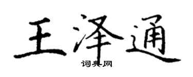 丁謙王澤通楷書個性簽名怎么寫
