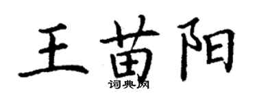 丁謙王苗陽楷書個性簽名怎么寫