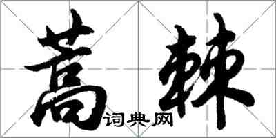 胡問遂蒿棘行書怎么寫