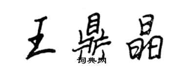 王正良王鼎晶行書個性簽名怎么寫