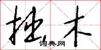 拙木怎么寫好看
