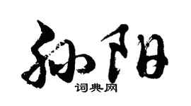 胡問遂孫陽行書個性簽名怎么寫