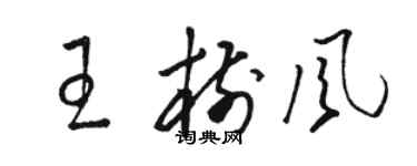 駱恆光王樹風草書個性簽名怎么寫