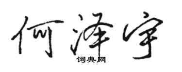 駱恆光何澤宇行書個性簽名怎么寫