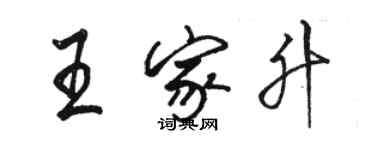 駱恆光王家升行書個性簽名怎么寫