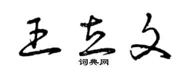 曾慶福王立文草書個性簽名怎么寫