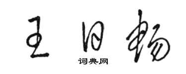 駱恆光王日暢草書個性簽名怎么寫