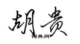 駱恆光胡貴行書個性簽名怎么寫