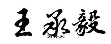 胡問遂王承毅行書個性簽名怎么寫