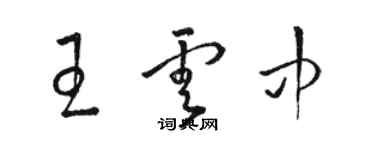 駱恆光王雲中草書個性簽名怎么寫